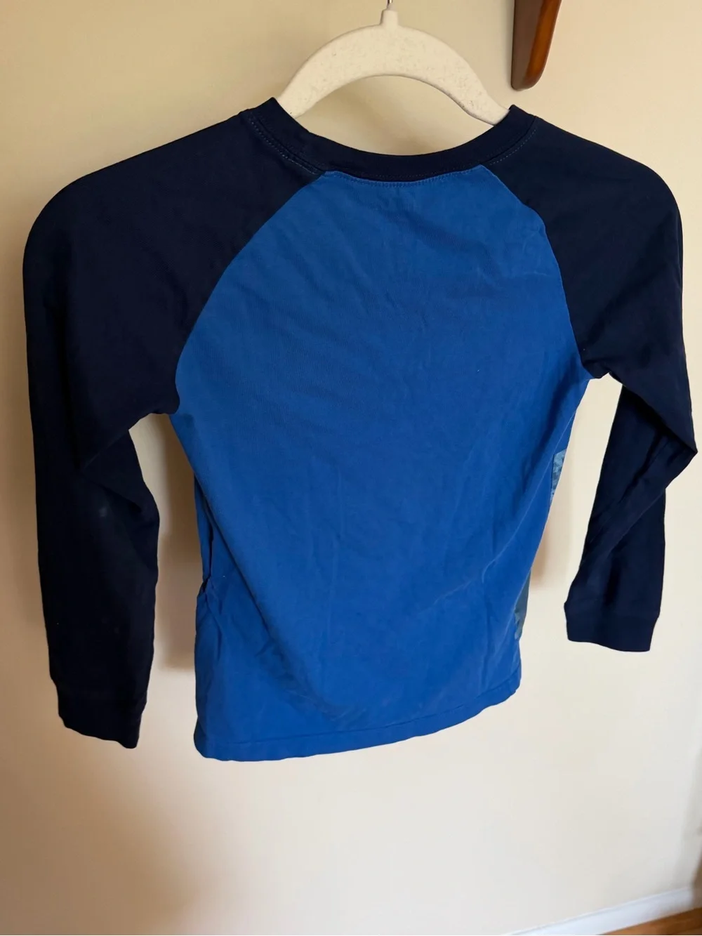 Carter's Blue Raglan Long-Sleeve T-Rex Graphic Tee